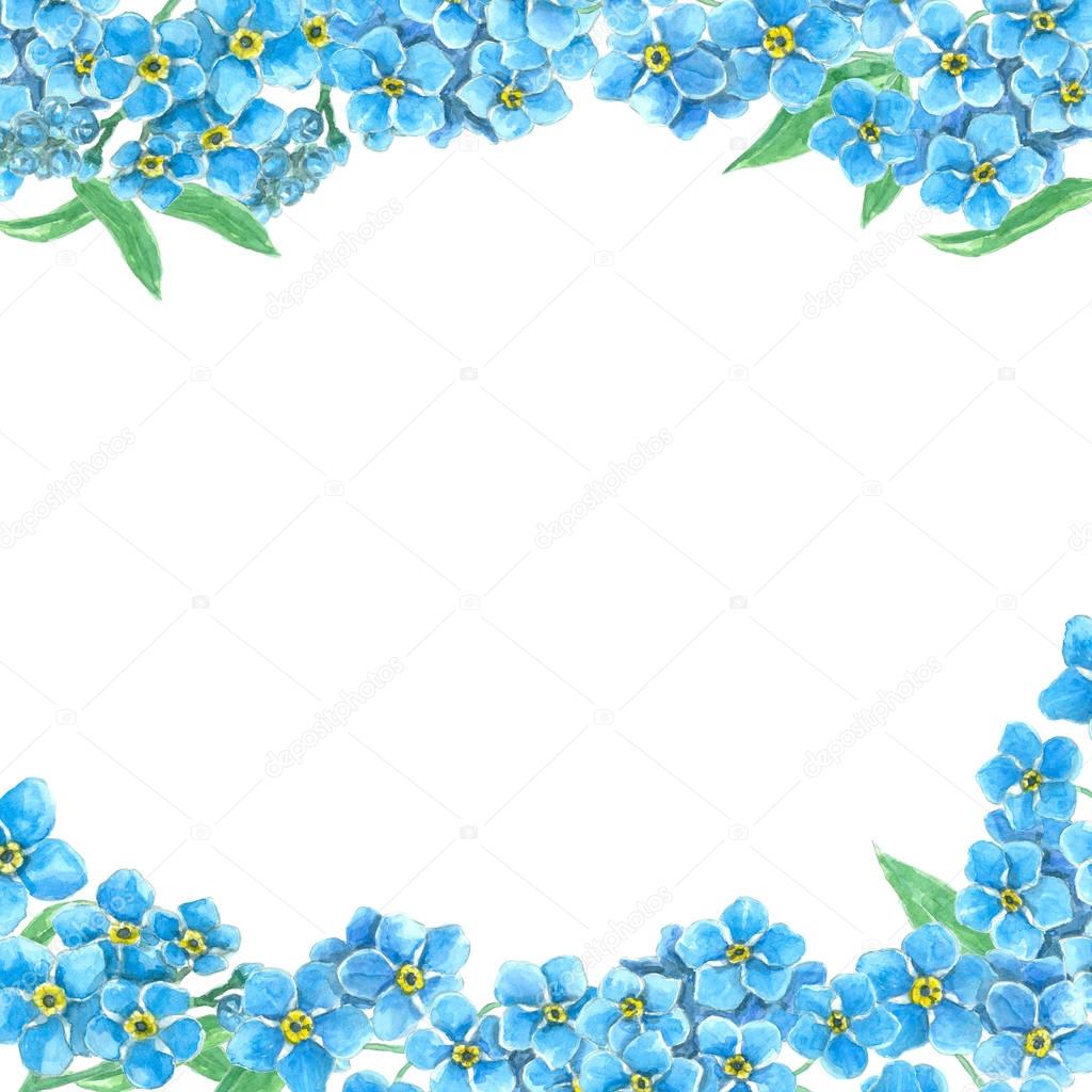 Forget me not  borders 
