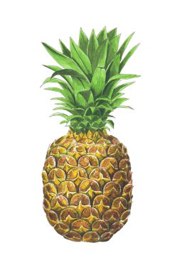 ananas, tropikal meyve