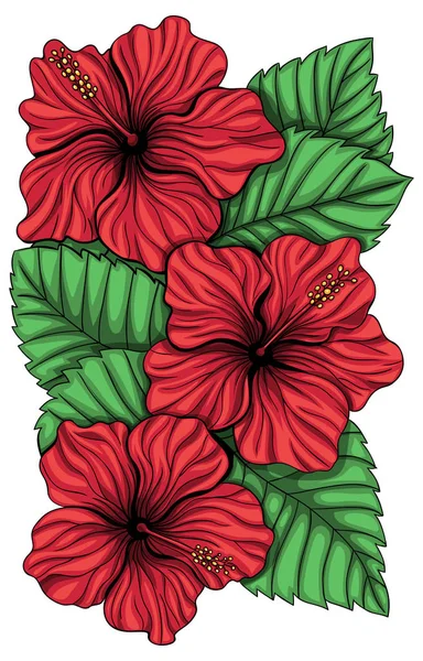 Bouquet of hibiscus flower and tropical leaves — Stock Vector