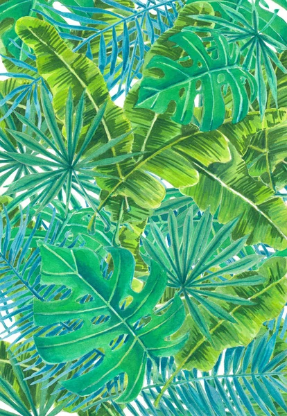 热带树叶水彩画 — 图库照片
