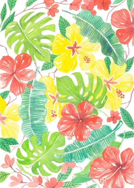 Hibiskus, frangapani och palmblad — Stockfoto