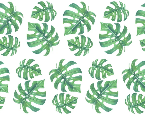 Wzór liści tropikalnych — Zdjęcie stockowe