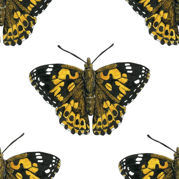 Painted lady butterfly pattern