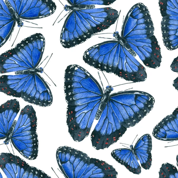 Azul morpho borboletas padrão — Fotografia de Stock