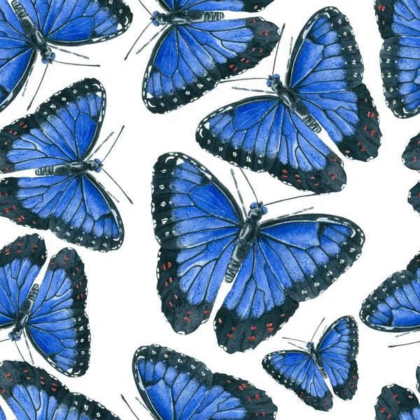 Blauwe morpho vlinders patroon — Stockfoto