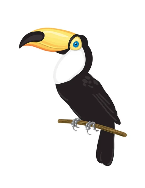 Toucan tropisk fågel — Stock vektor