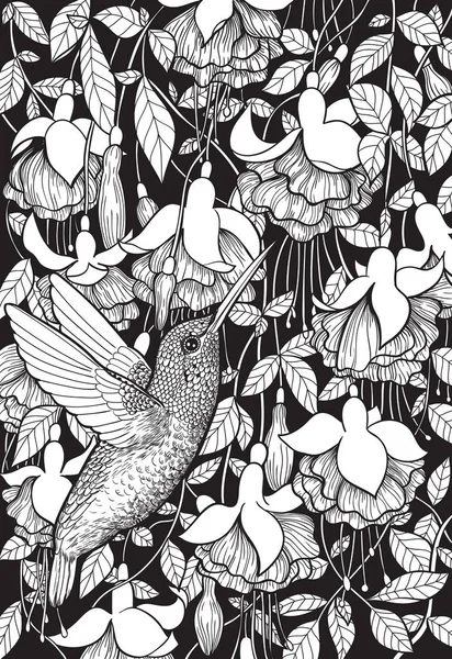 Hummingbird en fuchsia bloemen — Stockvector