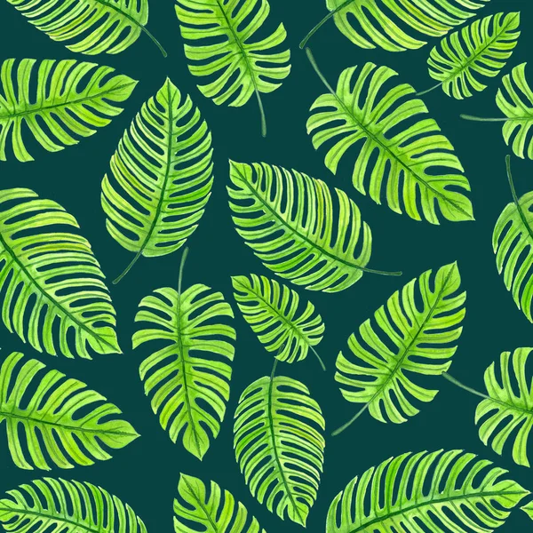 Monstera yaprakları desen