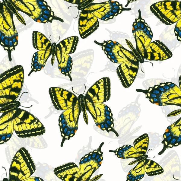 수채화 나비 패턴 — 스톡 사진