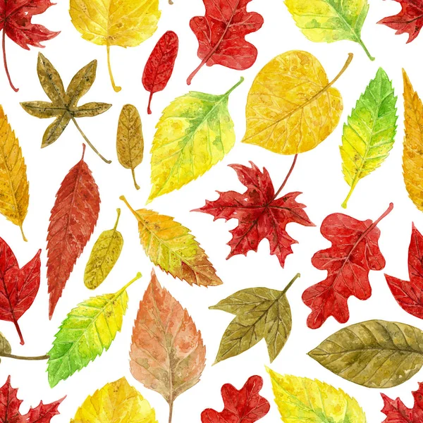 秋の水彩文様 — ストック写真