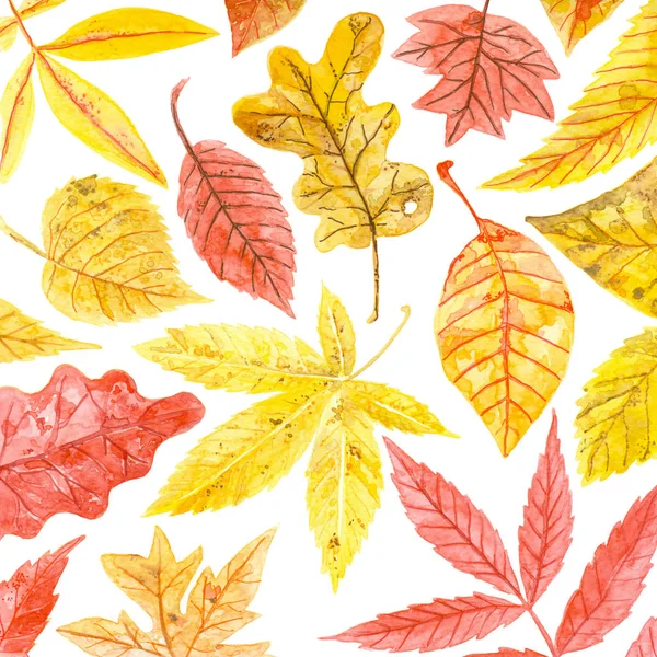 Jesienny wzór akwareli — Zdjęcie stockowe