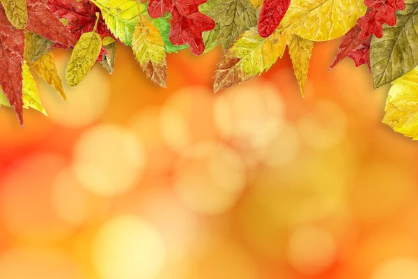 水彩的秋天背景 — 图库照片