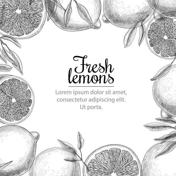 Кадр лимонів — стоковий вектор