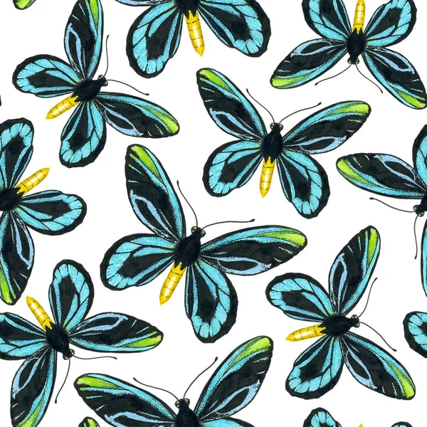 Seamless pattern with blue butterflies — Stock Photo, Image