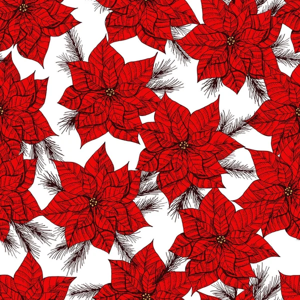 Poinsettia en Spar takken — Stockvector