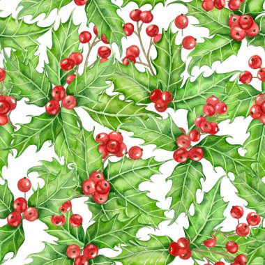 Holly berry suluboya