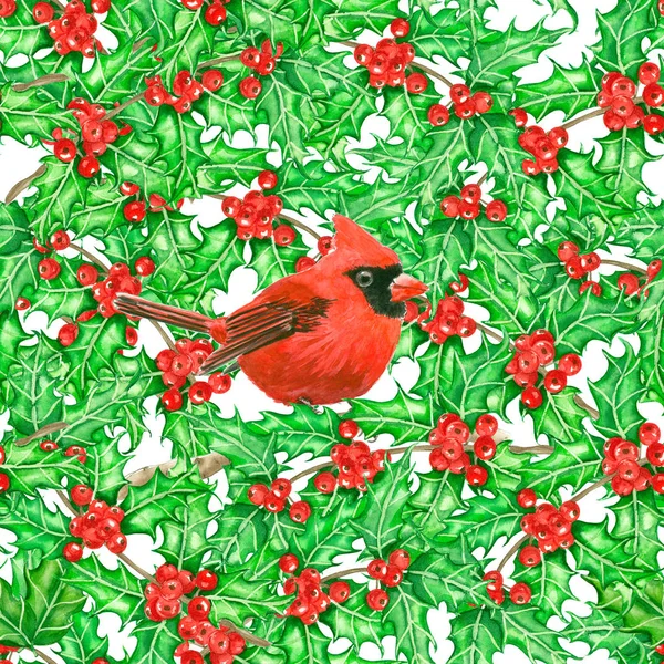 Kardinál a holly berry akvarel vzor — Stock fotografie