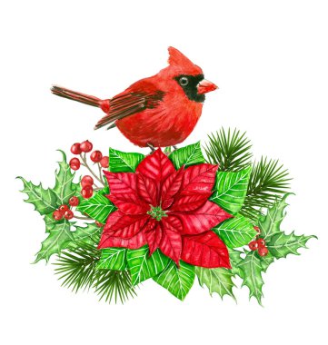 Kardinal ve Noel dekorasyon
