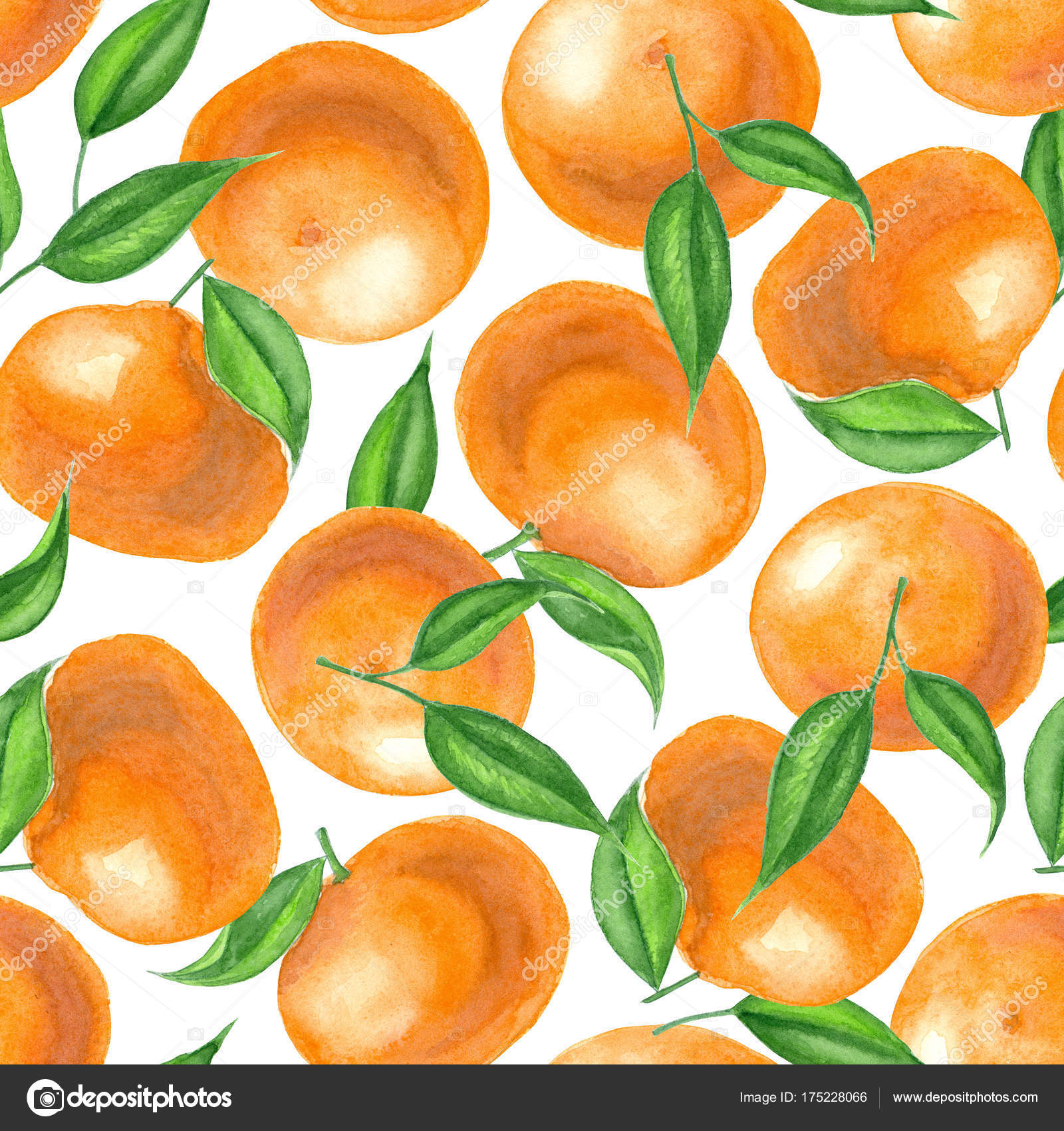 水彩みかんパターン 無料のストック写真 C Katerinamk 水彩みかんパターン 無料のストック写真 C Katerinamk