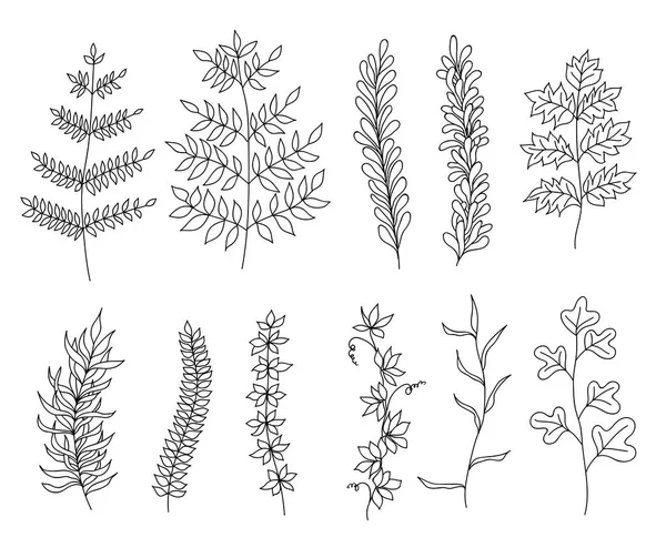 Plantas de recogida — Vector de stock