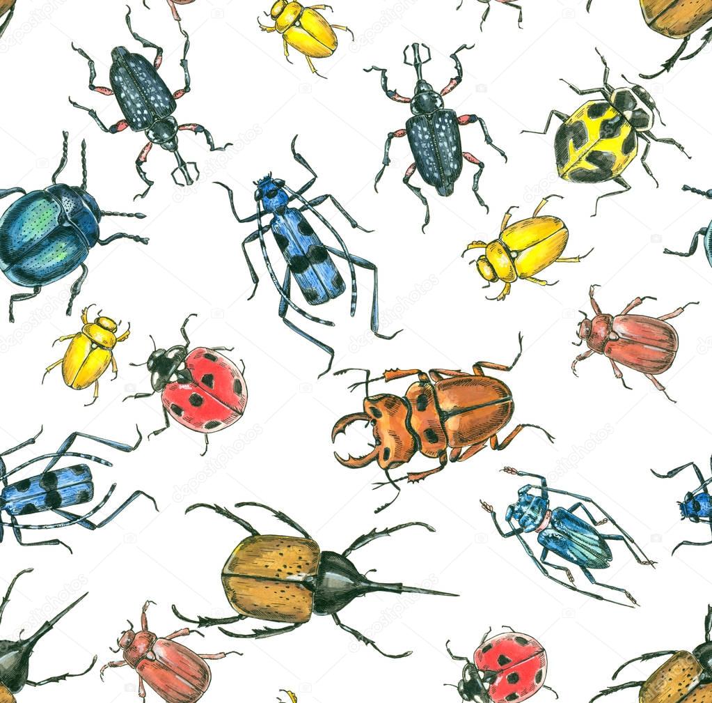 Seamless watercolor pattern with beetles