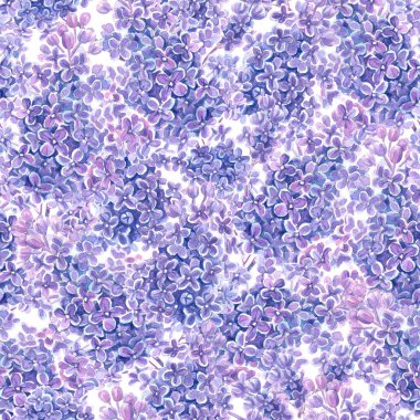 Suluboya Eflatun çiçekler