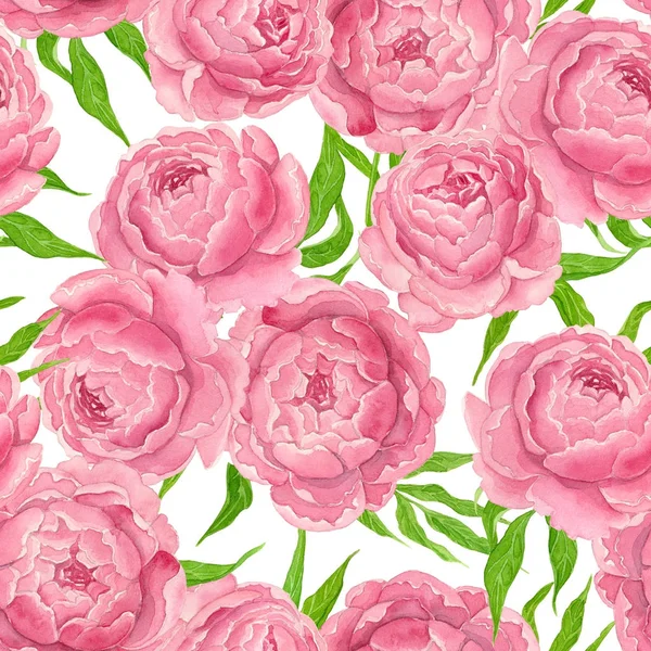 Pink peonies watercolor pattern — Stock Photo, Image