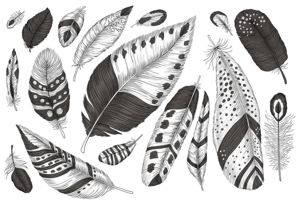 Collection hand drawn feathers — Stock Vector