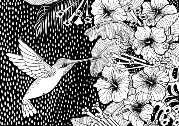 Colibrí, plantas tropicales y flores — Vector de stock