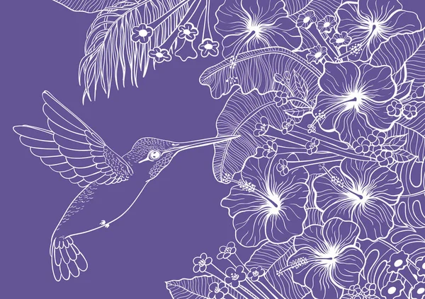 Kolibřík, tropické rostliny a květiny — Stockový vektor
