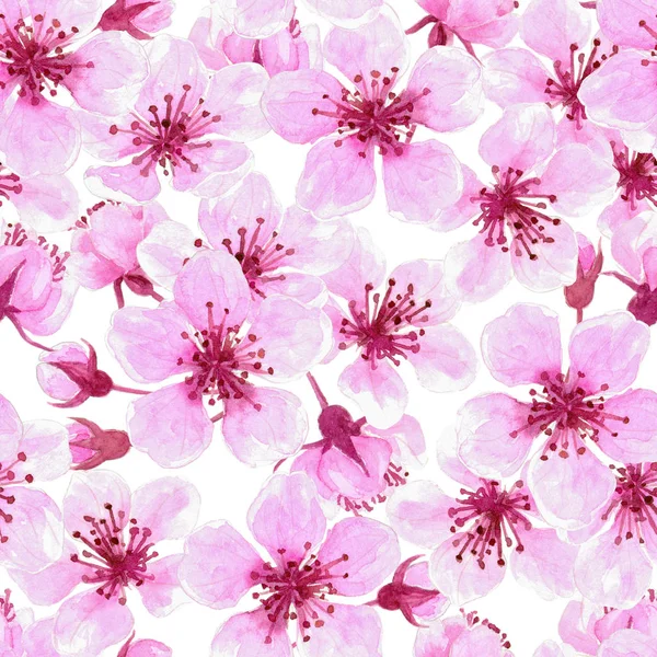 벚꽃 수채화 패턴 — 스톡 사진