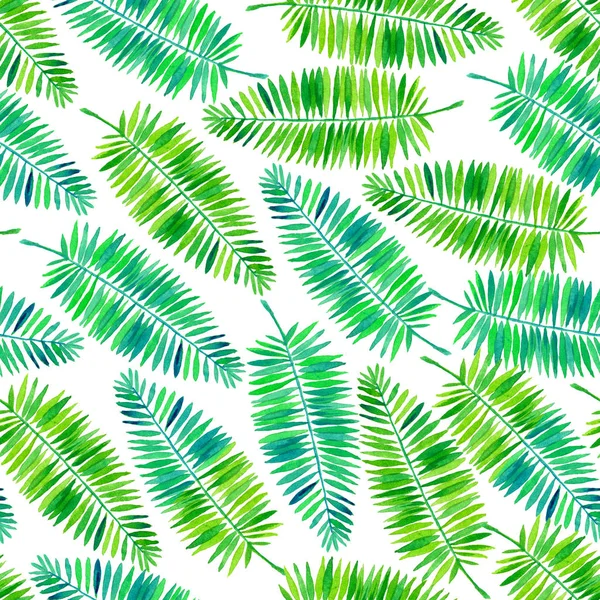 Suluboya palmiye yaprakları desen — Stok fotoğraf