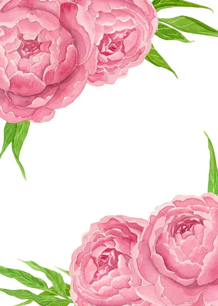 Pink watercolor peonies card — Stock Photo, Image