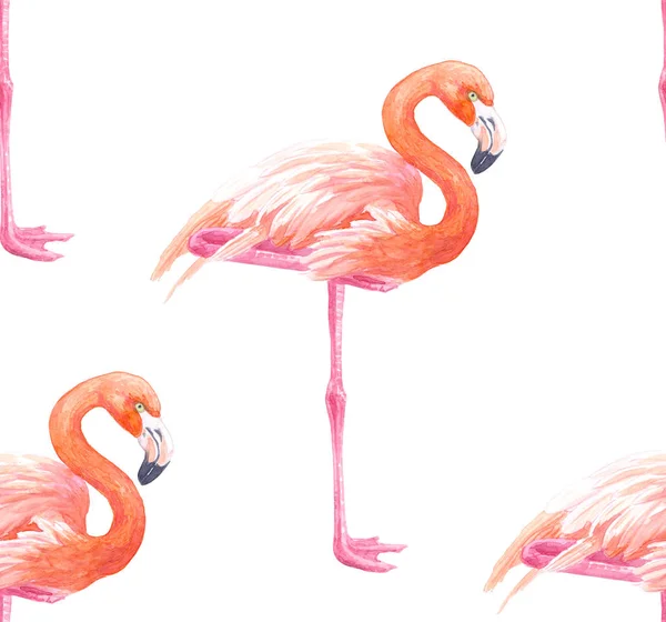 Akvarell flamingos mönster — Stockfoto