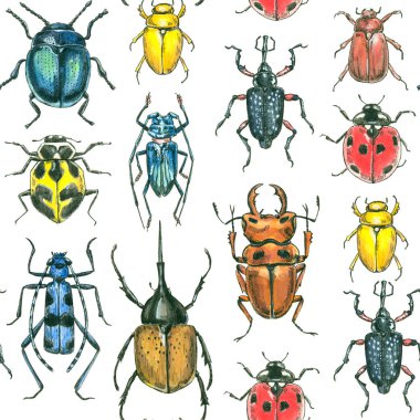 Çeşitli suluboya böcekler
