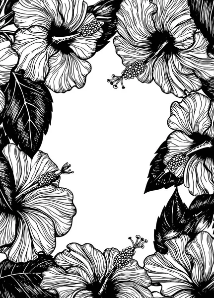 Cornice disegnata a mano di fiori di ibisco — Vettoriale Stock