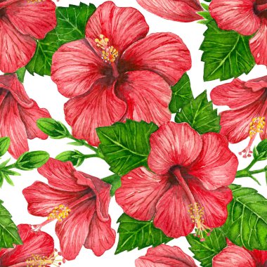 Hibiscus çiçek suluboya desen