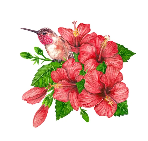 Bouquet aquarelle de fleurs d'hibiscus et colibri — Photo