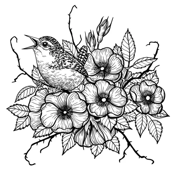 Illustration rose Wren et chien — Image vectorielle