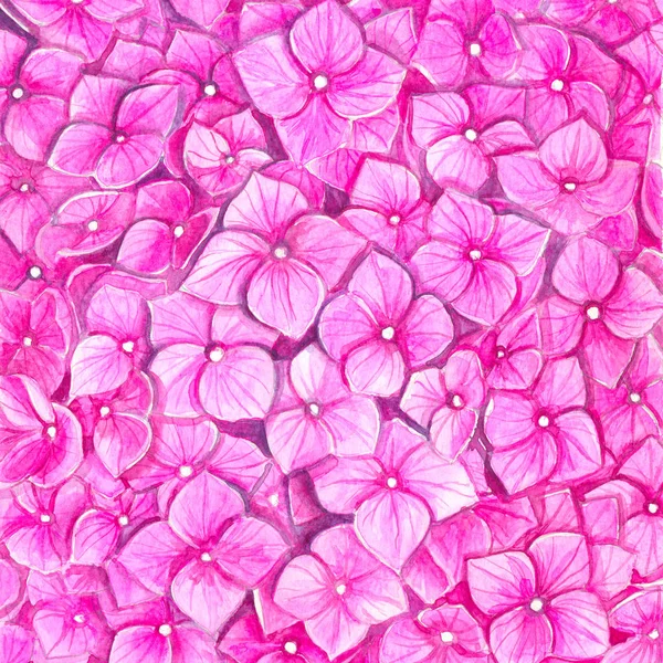 Hydrangea watercolor pattern — Stock Photo, Image
