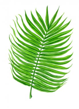 Palm suluboya bırakır