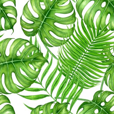 Palmiye ve monstera yaprakları seamless modeli