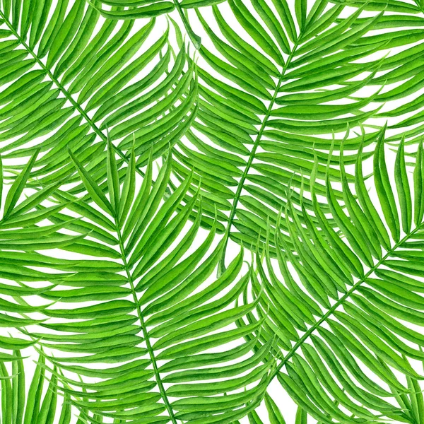 Folhas de palma sem costura padrão — Fotografia de Stock Grátis