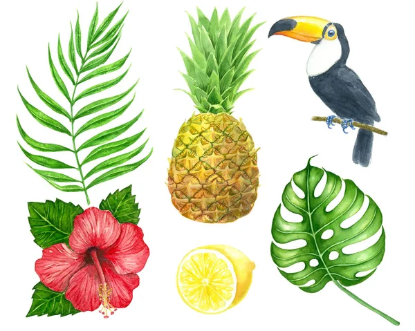 Set acquerello tropicale — Foto Stock