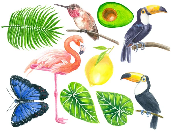 Tropiska akvarell set — Stockfoto