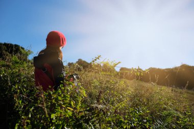 kız kış günbatımı zamanı arka plan ile ilgilenen yeşil çayır üzerinde oturan ayarla giyinmiş. Bu görüntü için doğa, seyahat ve peyzaj kavramı
