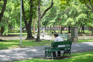yaşlı adam yalnız sabah yeşil genel Garden bankta oturmuş