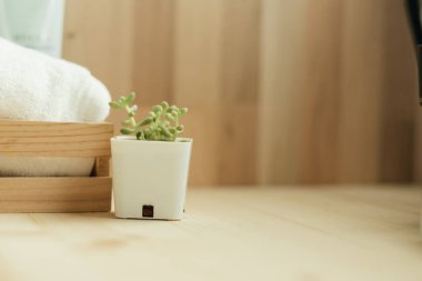 Önden Görünüm. w ile ahşap sepet yanında küçük bitki vazo içinde yer