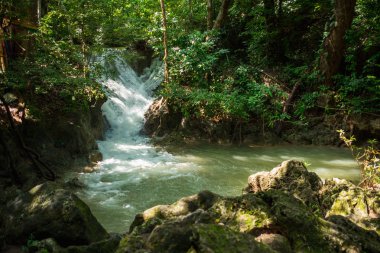 sahne görünümü. güzel şelale Orman ağacı arasında bir