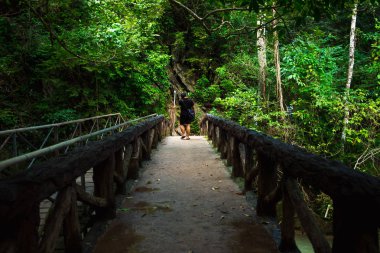 Yalnız güzel doğa ile arasında köprü üzerinde yürüyen turist 